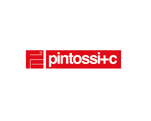 PINTOSSI-removebg-preview